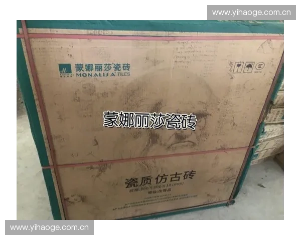 蒙娜丽莎瓷砖的质量与设计特点分析及购买指南