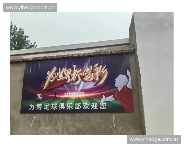 激情燃烧的绿茵盛宴南非世界杯见证足球荣耀与梦想